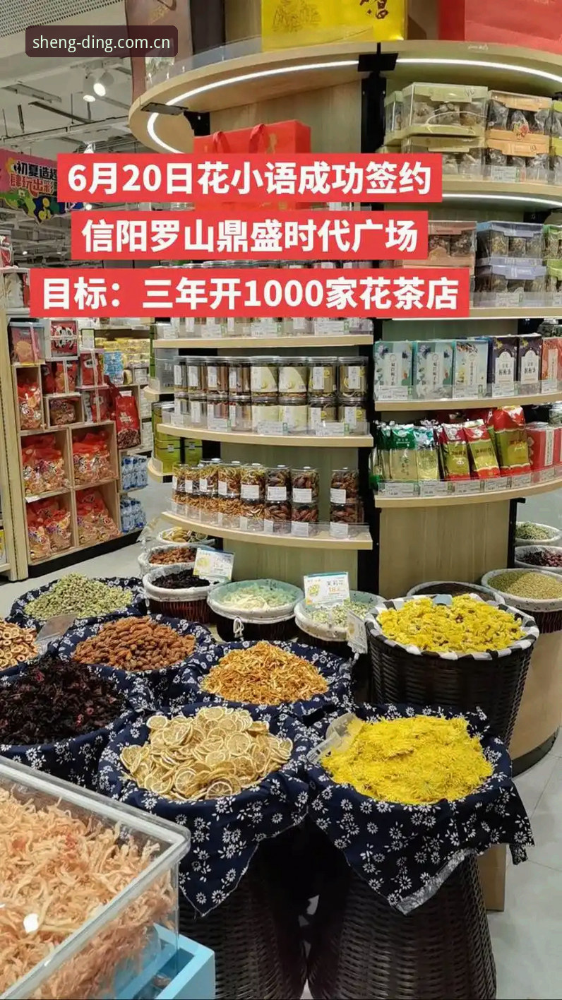 鼎盛网页版入口安装教程全面评测：2026品牌升级版实测体验报告